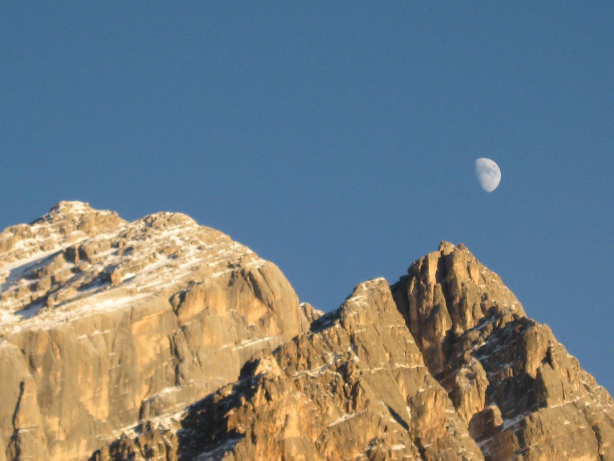 Hotel Albergo Dolomiti Сан-Вито-ди-Кадоре Экстерьер фото